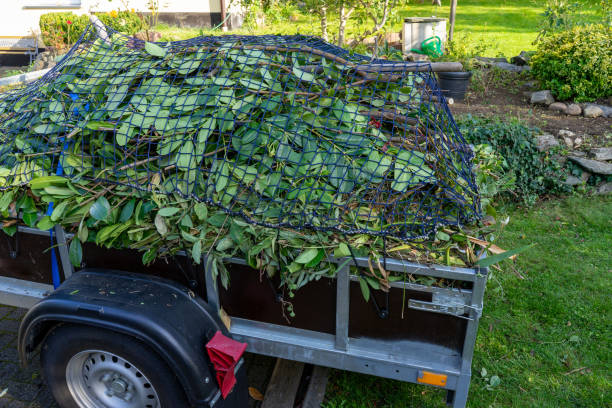 Best Estate Cleanout  in Orono, MN